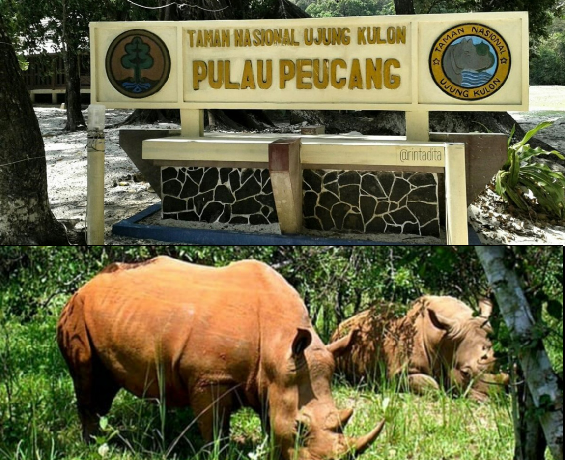 Ujung Kulon National Park